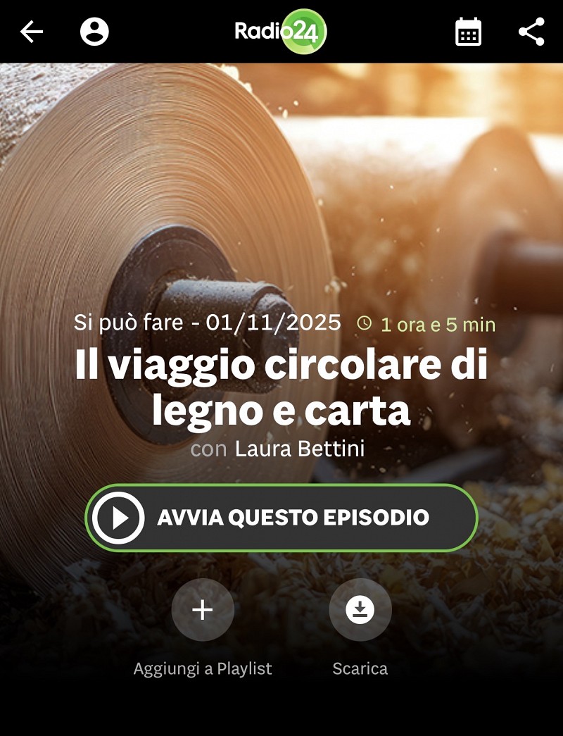 IL VIAGGIO CIRCOLARE DI LEGNO E CARTA